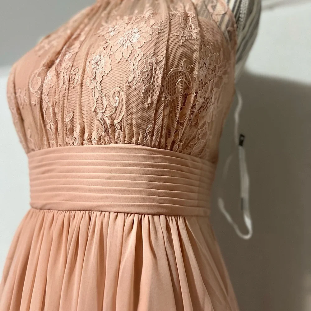 Sonsiya Blush Pink Lace Chiffon Maxi Dress Size 12 Formal Gown NWT - Picture 6 of 12